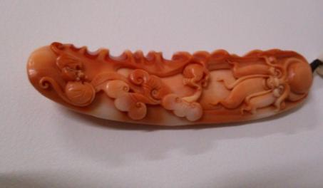 砗磲中的贵族:血砗磲的前世今生