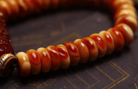 砗磲中的贵族:血砗磲的前世今生