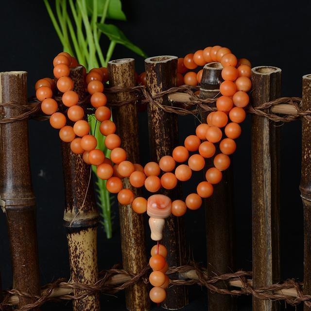 砗磲中的贵族:血砗磲的前世今生