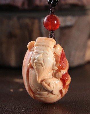 砗磲中的贵族:血砗磲的前世今生