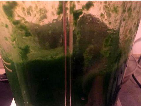 自制清明团子,只需简单3步,口感香甜又软糯!