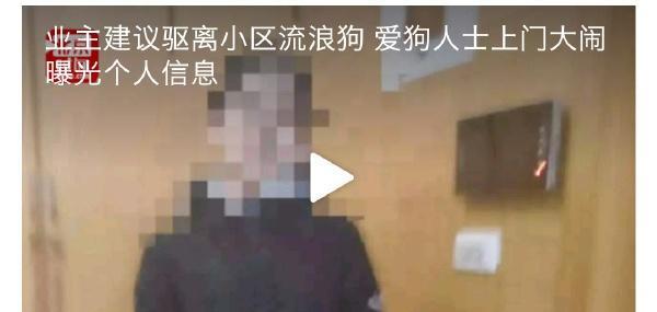 业主建议驱离小区“流浪狗”,爱狗人士上门大闹曝光个人信息