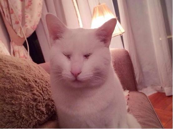 御姐胡一菲的“正经”家居照,“女神经”的女神生活范,装修内敛