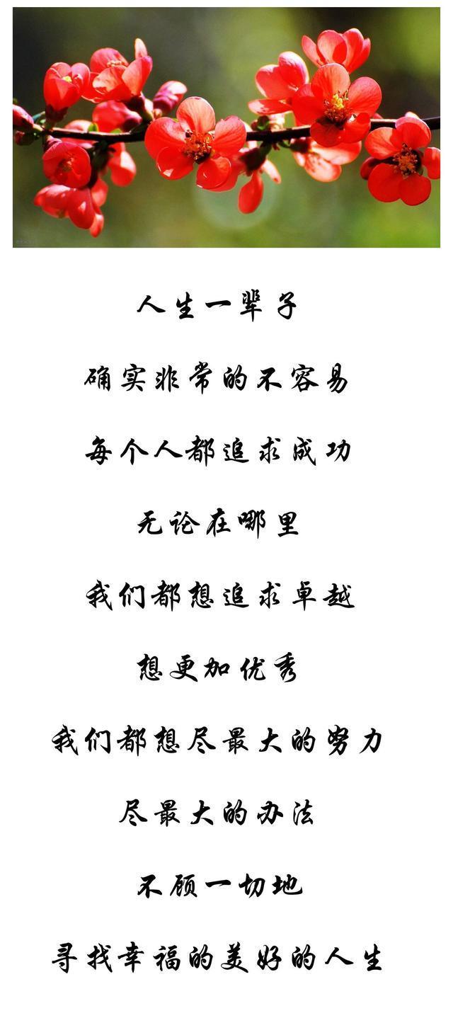 好人必有好报,傻人也有傻福,聪明算计无深交,大智若愚不糊涂