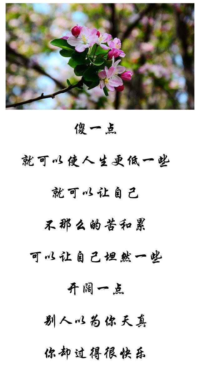 好人必有好报,傻人也有傻福,聪明算计无深交,大智若愚不糊涂