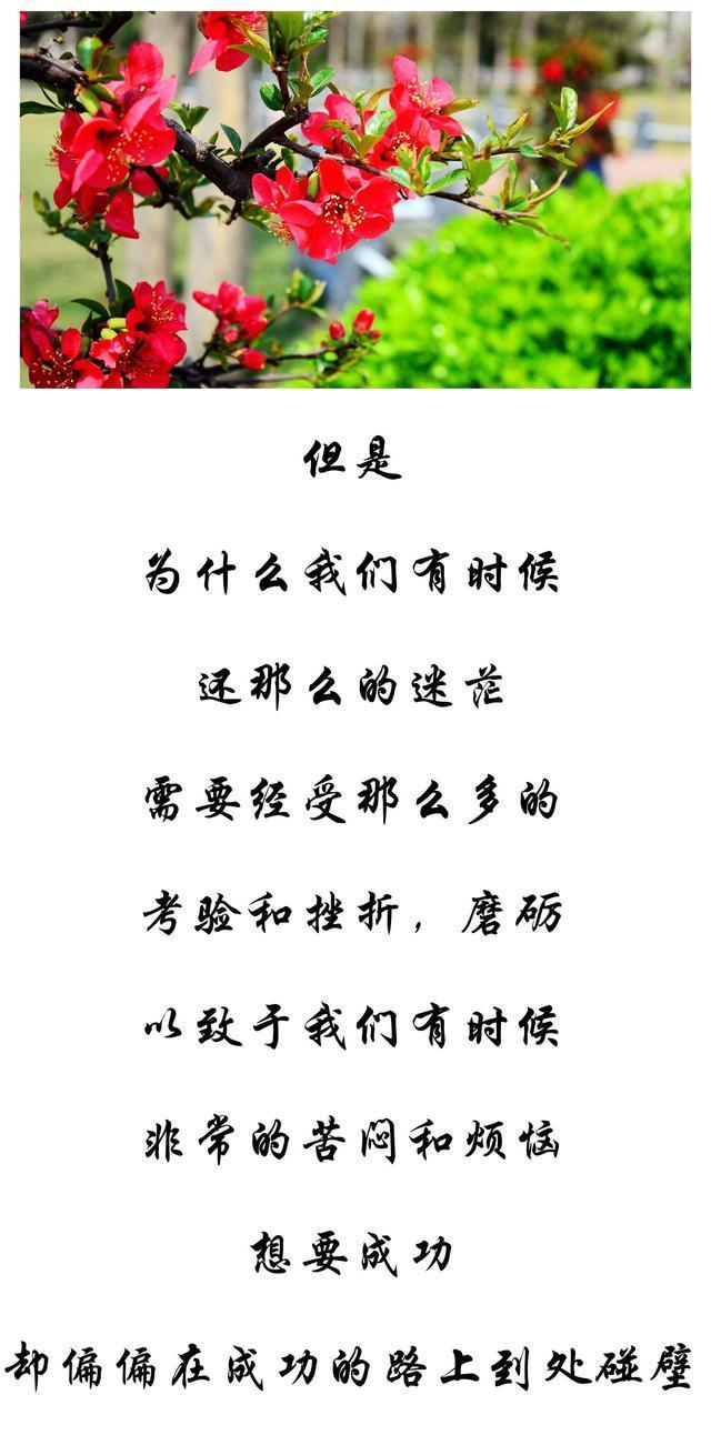 好人必有好报,傻人也有傻福,聪明算计无深交,大智若愚不糊涂