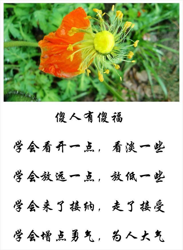 好人必有好报,傻人也有傻福,聪明算计无深交,大智若愚不糊涂