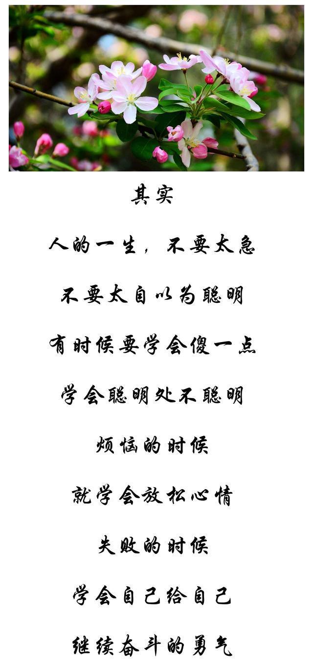 好人必有好报,傻人也有傻福,聪明算计无深交,大智若愚不糊涂