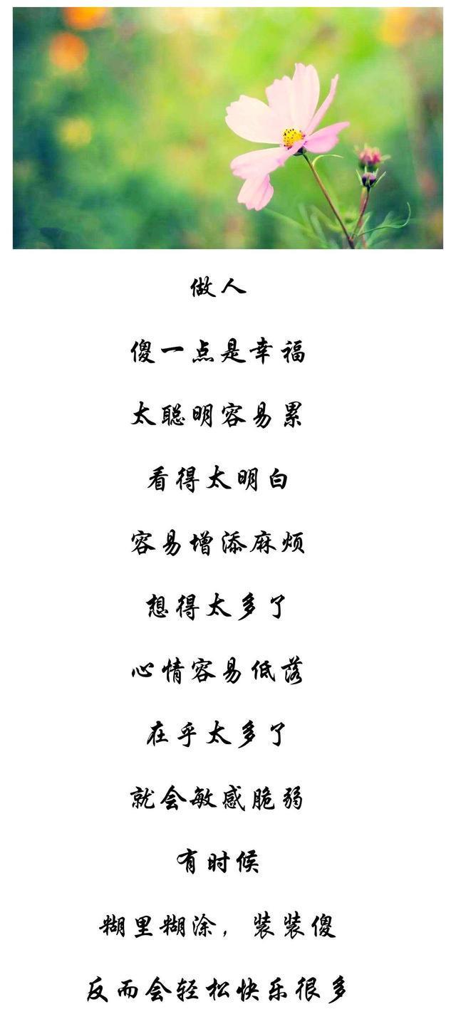 好人必有好报,傻人也有傻福,聪明算计无深交,大智若愚不糊涂