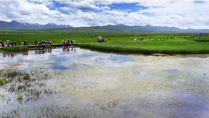 我们去大草原的湖边,等候鸟飞回来