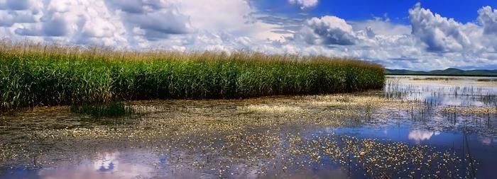 我们去大草原的湖边,等候鸟飞回来