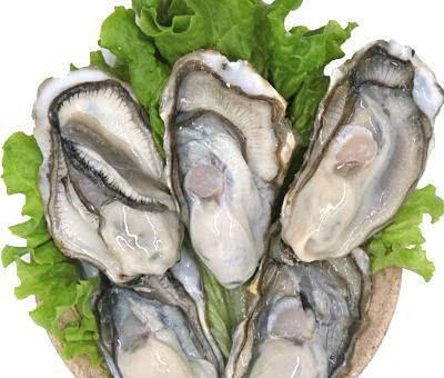 生蚝和海蛎子分不清?老渔民说出巧办法,再也不怕被骗