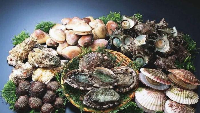 生蚝和海蛎子分不清?老渔民说出巧办法,再也不怕被骗