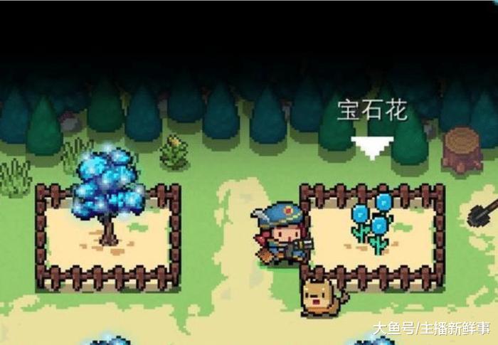 元气骑士:花圃植物长大后是啥样子?萌新认不清,专家也懵圈!