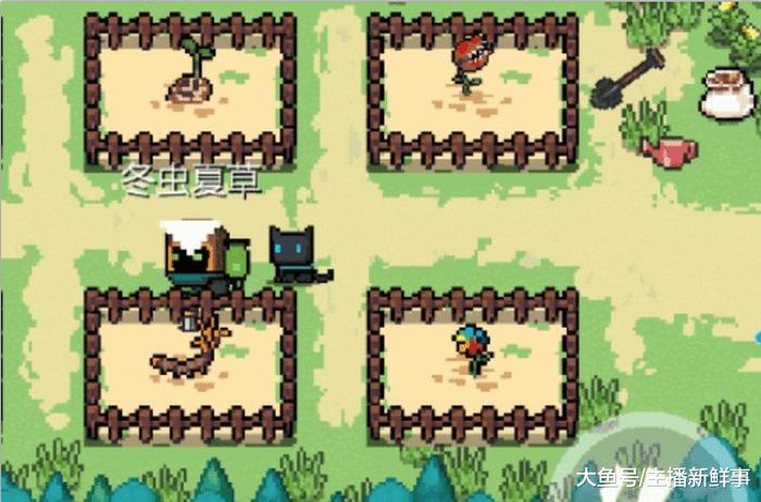 元气骑士:花圃植物长大后是啥样子?萌新认不清,专家也懵圈!