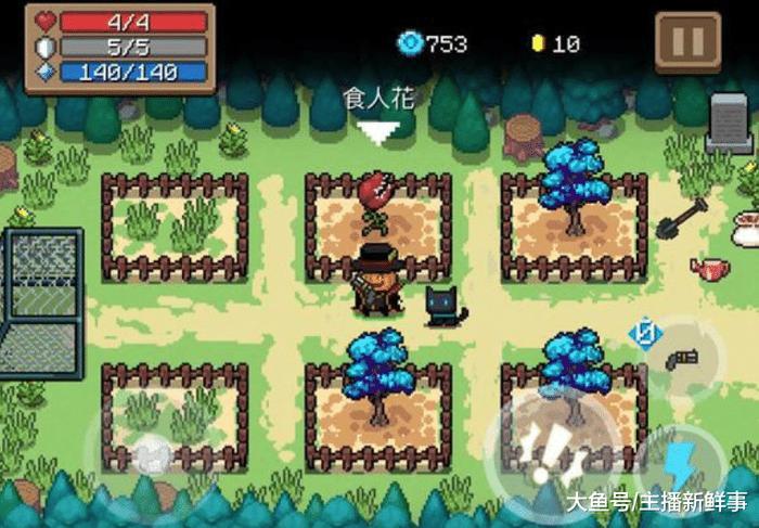 元气骑士:花圃植物长大后是啥样子?萌新认不清,专家也懵圈!