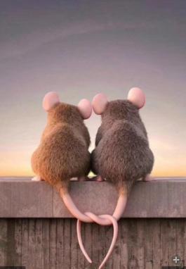 济缘八字:命格高的人也会离婚么?