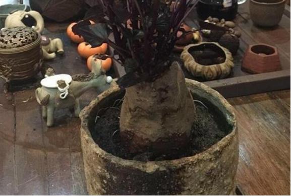 晒晒郭德纲住的过亿豪宅,室内超多古玩,每一件都价值昂贵