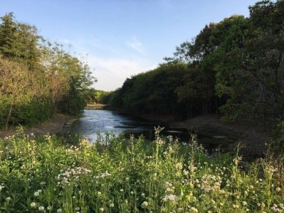 ​上海号称“沪上绿洲”的公园，离外滩不远适合遛娃，却少有人知