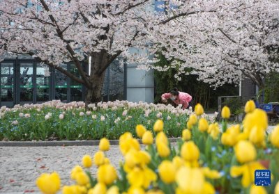 ​浙江宁波：植物园春花烂漫