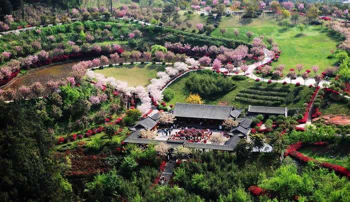 花舞人间,置身于花海中,成片的花海一望无际