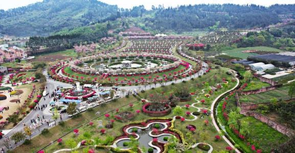 花舞人间,置身于花海中,成片的花海一望无际