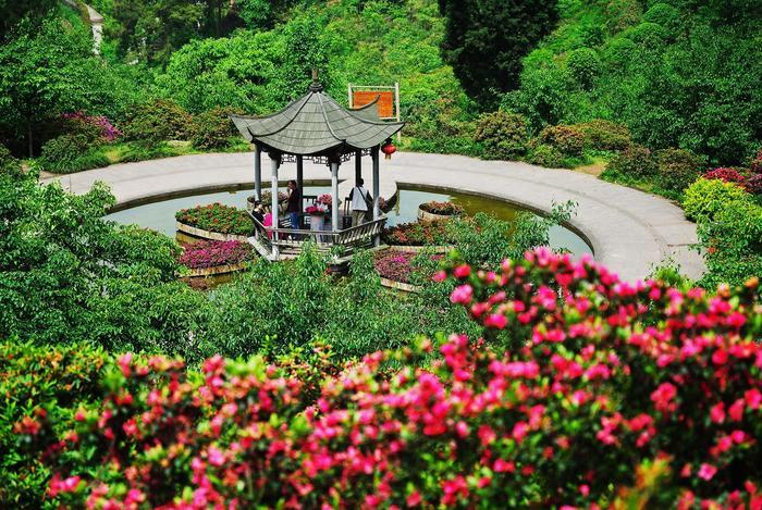 花舞人间,置身于花海中,成片的花海一望无际