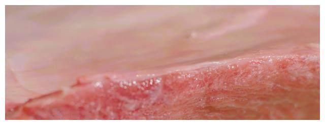 日本的顶级生鱼片，一小块就要好几万，你会花钱吃吗？