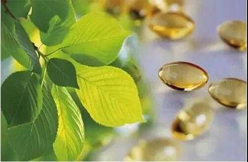 叶酸的作用及功能:叶酸片有什么作用?