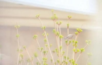 ​怎么开启运费险买家怎么开通运费险