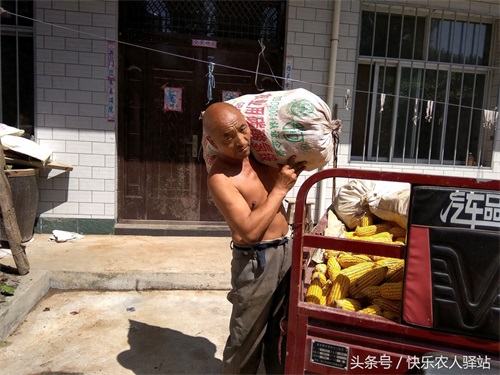 10张掰玉米图,农二代偷看完眼圈红了