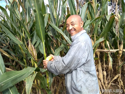 10张掰玉米图,农二代偷看完眼圈红了