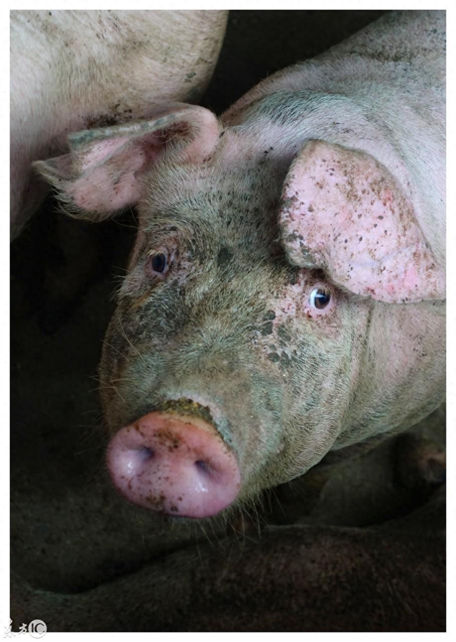 颜值正义,你知道是什么意思吗