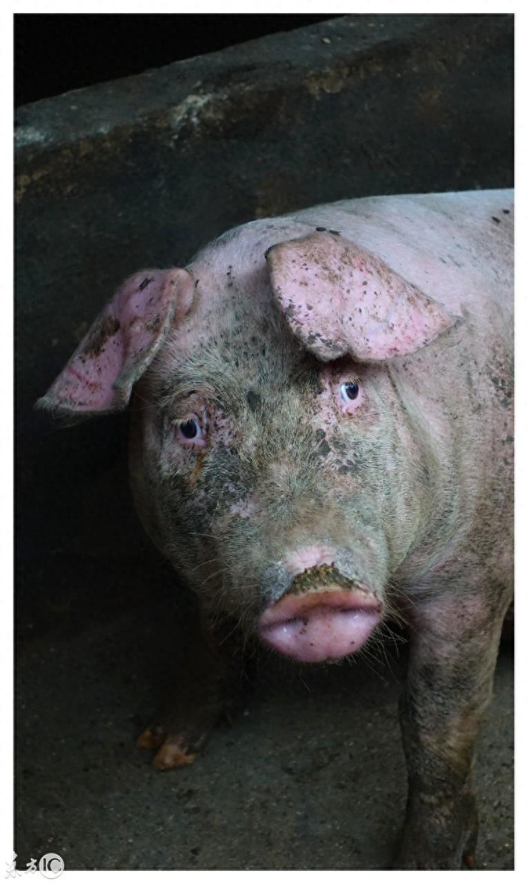 颜值正义,你知道是什么意思吗