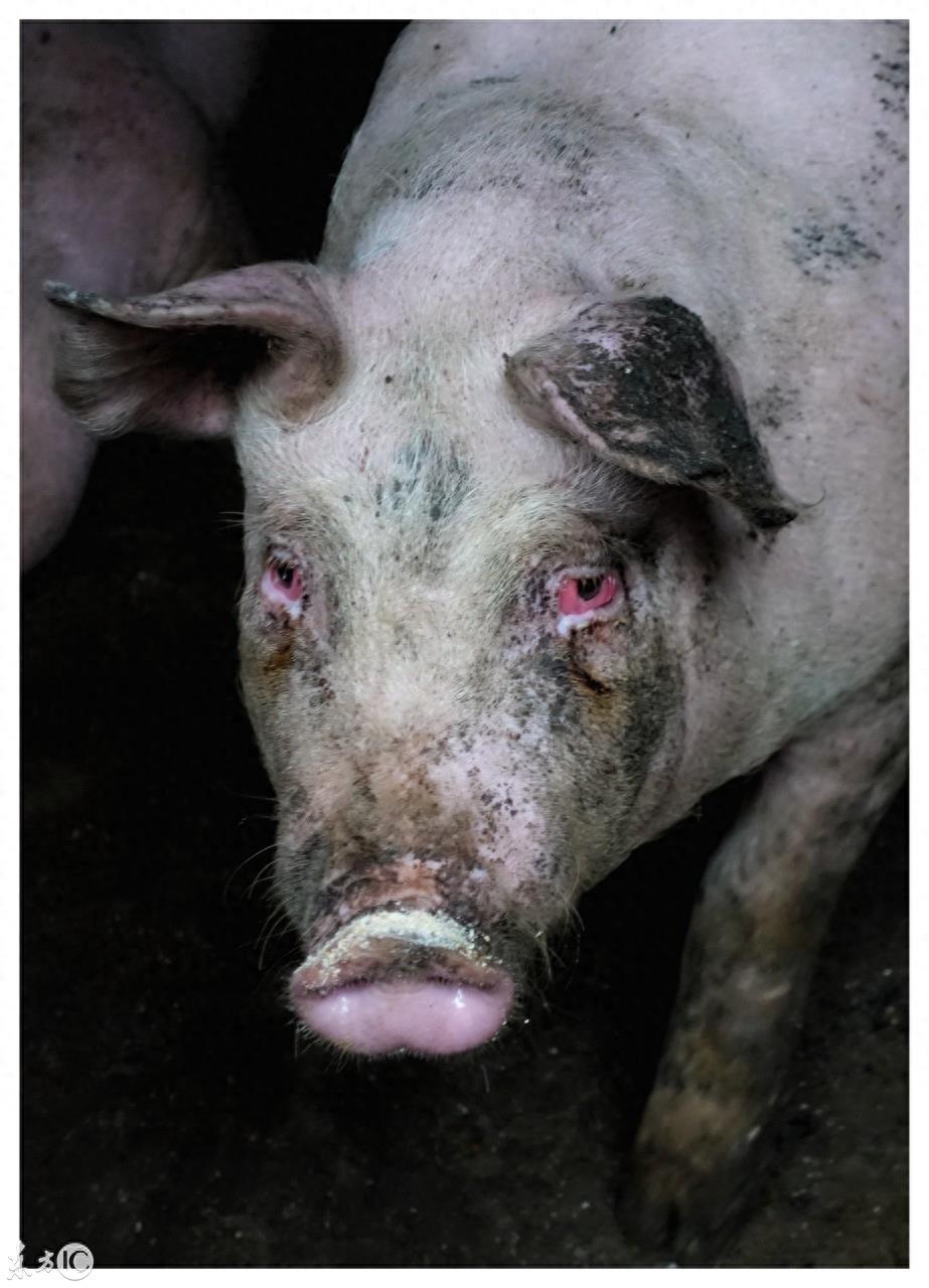 颜值正义,你知道是什么意思吗