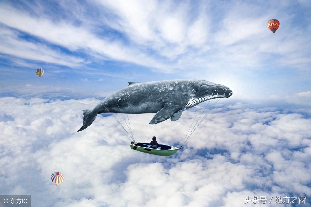 传说中的“鲲”,是否真的存在?