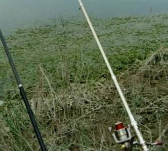 ​掌握海竿钓鱼技巧没有钓不到鱼