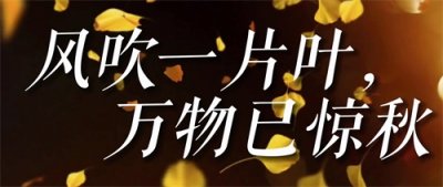 ​桂林观赏银杏攻略之-海洋，中国银杏第一乡