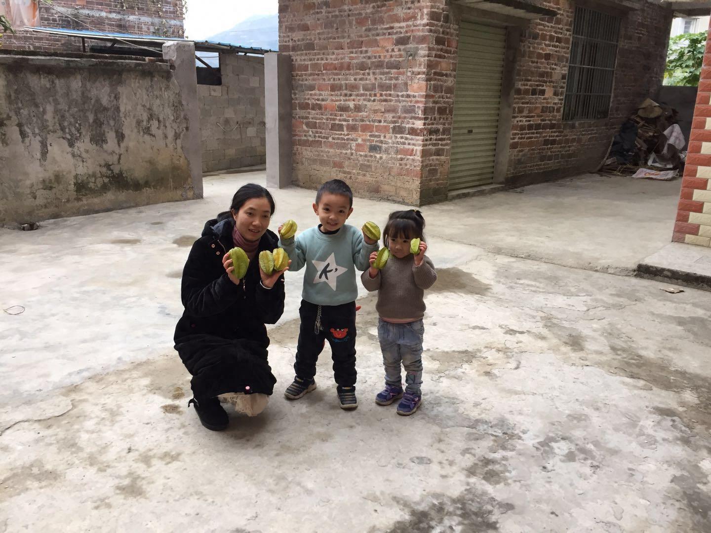 广西有一种最不起眼的果,深受老幼的喜爱,阳桃易种植且好处多