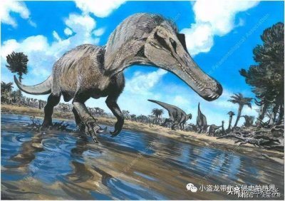 ​恐龙档案56-重爪龙