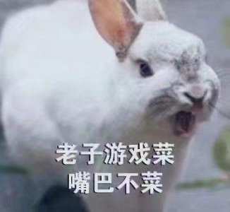 ​暴躁兔子超大声bb表情包
