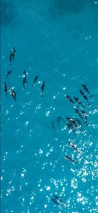 ​优阿壁纸丨超级好看的2k超清全面屏手机壁纸