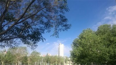 ​打油诗《失眠》，睡不着时各种高招