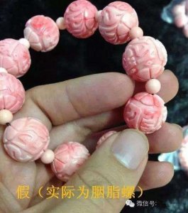 ​砗磲造假和假冒的一些常见手段揭秘