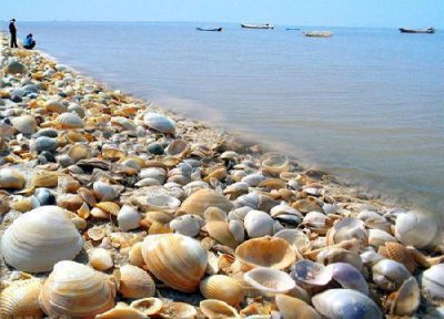 ​河北“古贝壳堤”