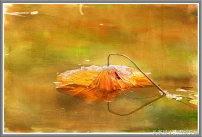 ​当我老了 诗歌