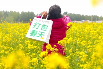 ​北京藏着一片百亩油菜花海，现已绽放免费参观，游人不超10个
