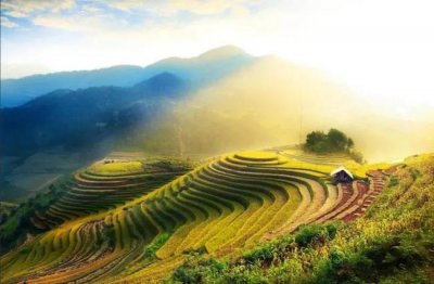 ​盘点六本不错的种田文，农庄牧场，悠闲自在，异界西幻，科技发展