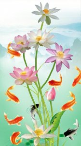 ​韬光养晦，厚积薄发，才能更好地生存