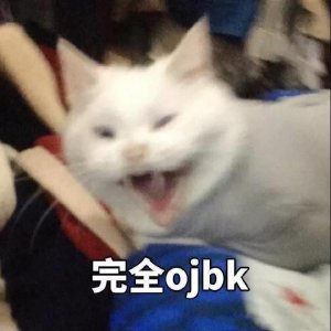 ​猫咪表情包OK系列：我觉得OK